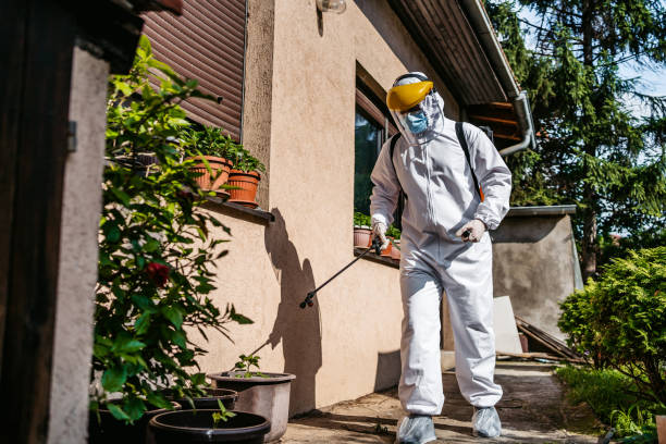 Best Wasp Removal Services  in Drain, OR