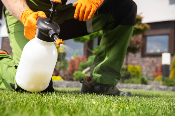  Drain, OR Pest Control Pros