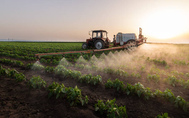 Best Pest Control Cost  in Drain, OR