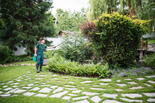 Best Pest Control Near Me  in Drain, OR