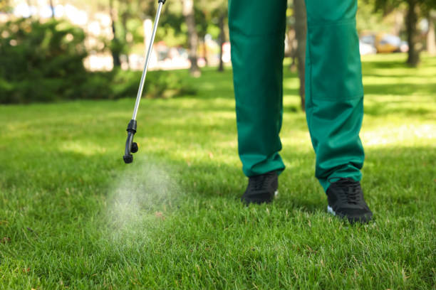 Best Affordable Pest Control Services  in Drain, OR
