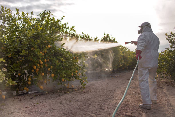 Best Residential Pest Control  in Drain, OR