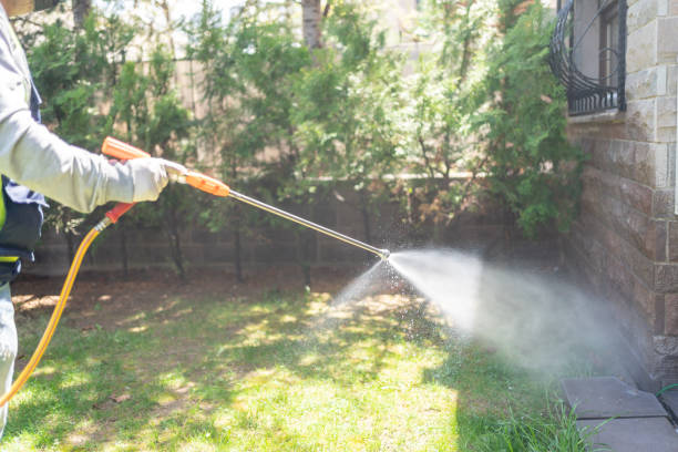 Professional Pest Control in Drain, OR