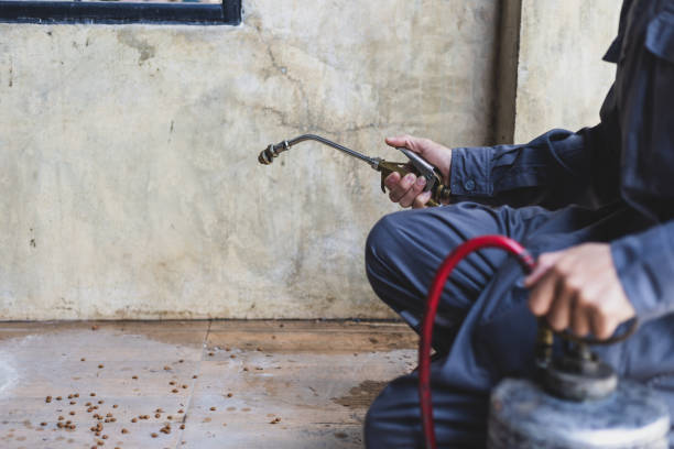 Reliable Drain, OR Pest Control Solutions
